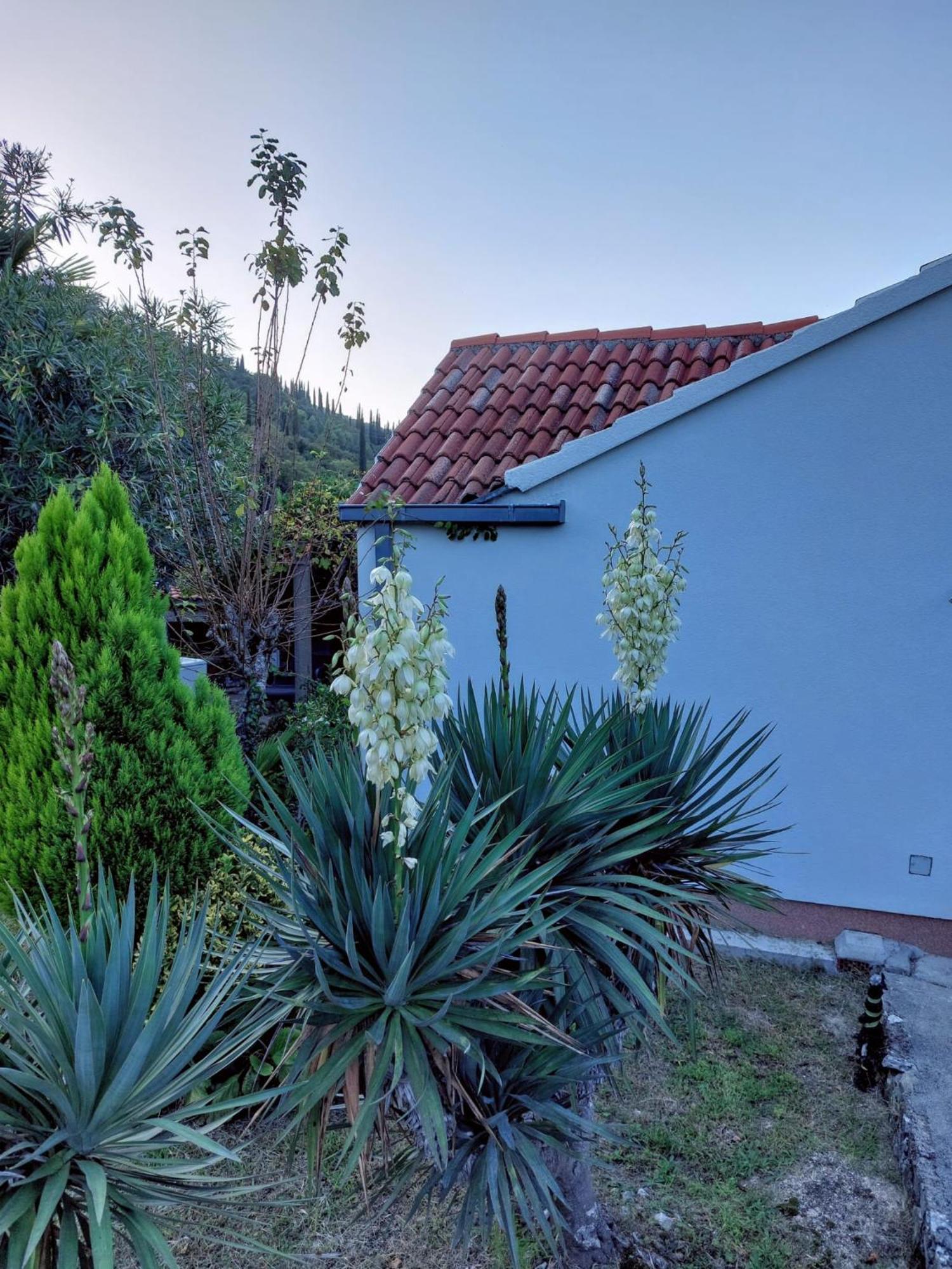 Holiday Home Sunrise Gruda Exterior photo